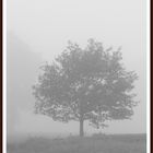 Nebel im Herbst