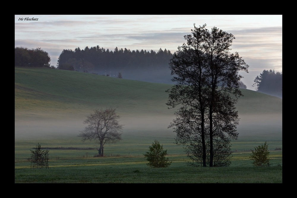 Nebel im Herbst