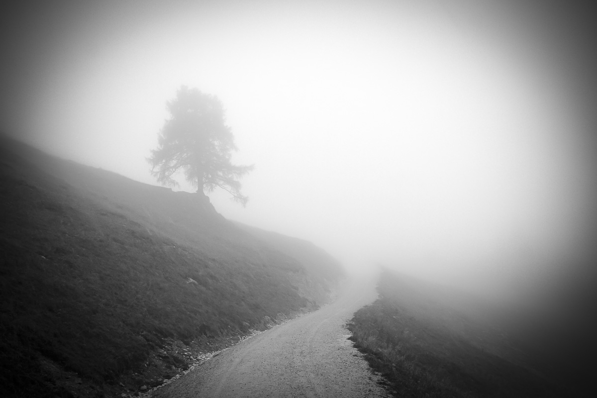 Nebel im Herbst