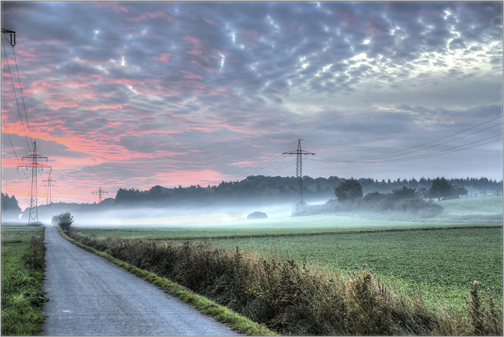 Nebel im Herbst