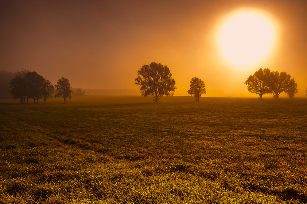 Nebel im Herbst