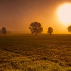 Nebel im Herbst