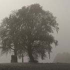 Nebel im Herbst