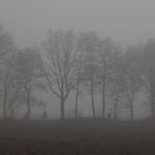 Nebel im Herbst