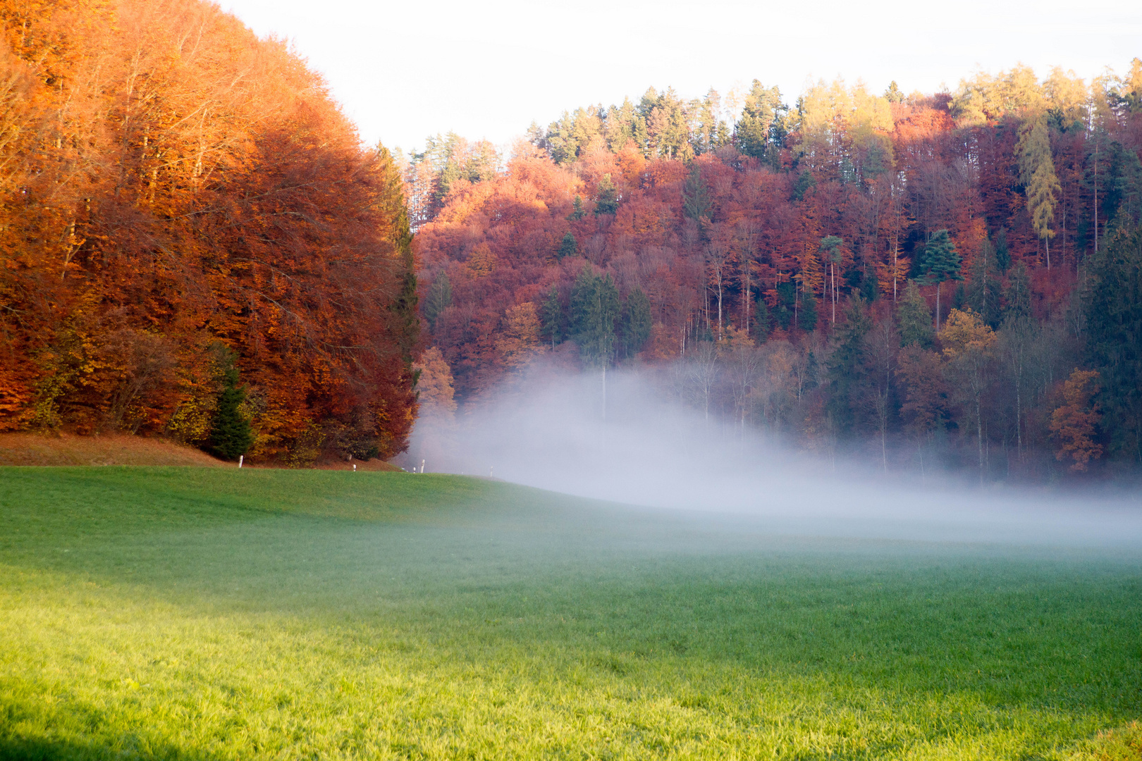 Nebel im Herbst