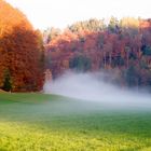 Nebel im Herbst