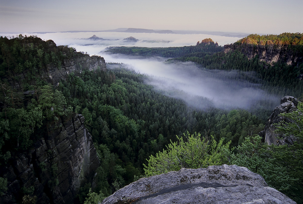 Nebel im Heringsgrund