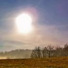 Nebel im Himmelreich