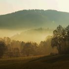 Nebel im Immecker Tal