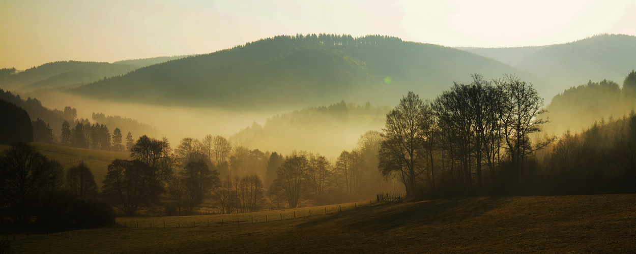 Nebel im Immecker Tal