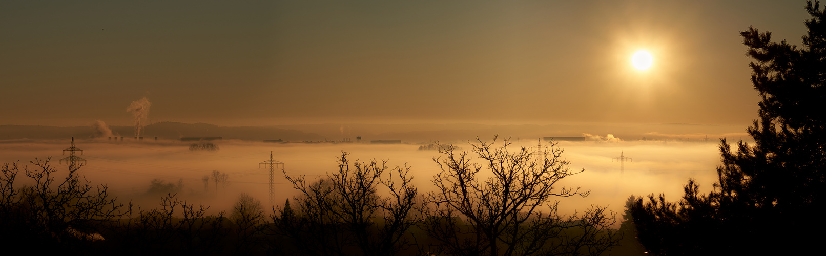 nebel-im-isarmoos