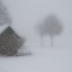 Nebel im Januar