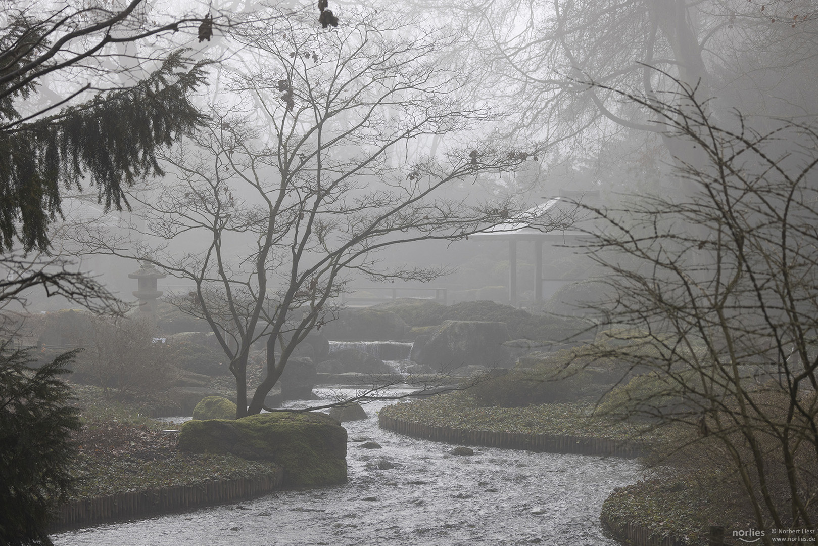 Nebel im Japangarten