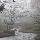 Nebel im Japangarten