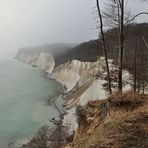 Nebel im Jasmund Nationalpark