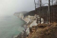 Nebel im Jasmund Nationalpark