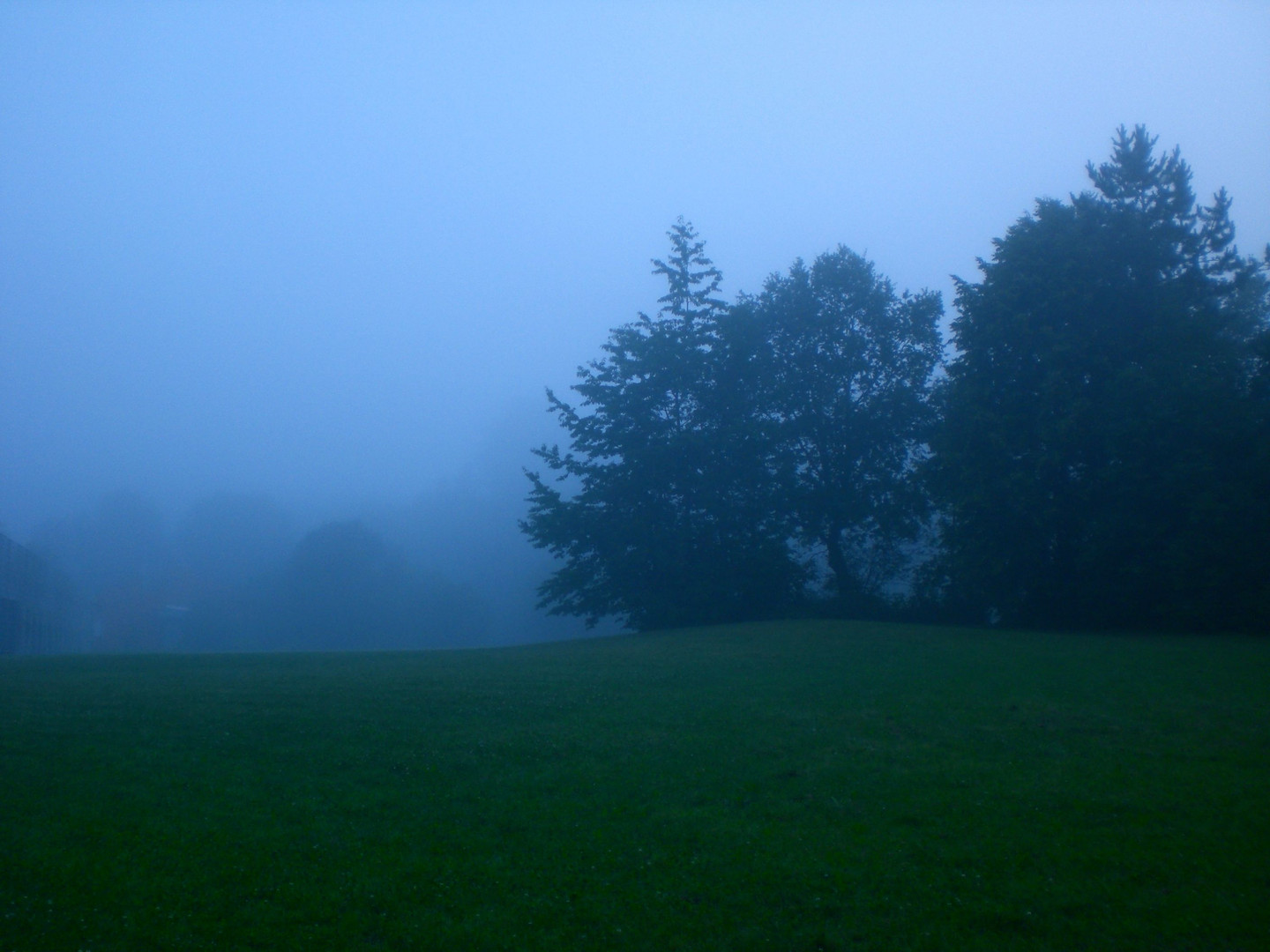 Nebel im Juli