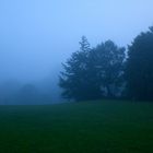 Nebel im Juli