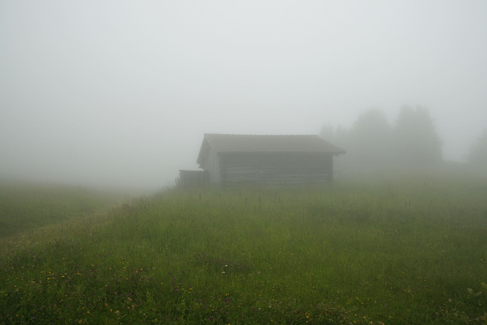 Nebel im Juli 2012