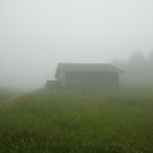 Nebel im Juli 2012