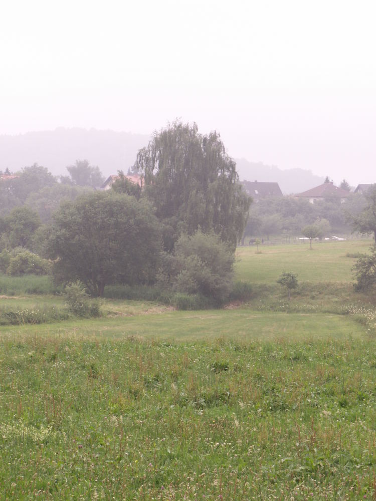 Nebel im Juli...