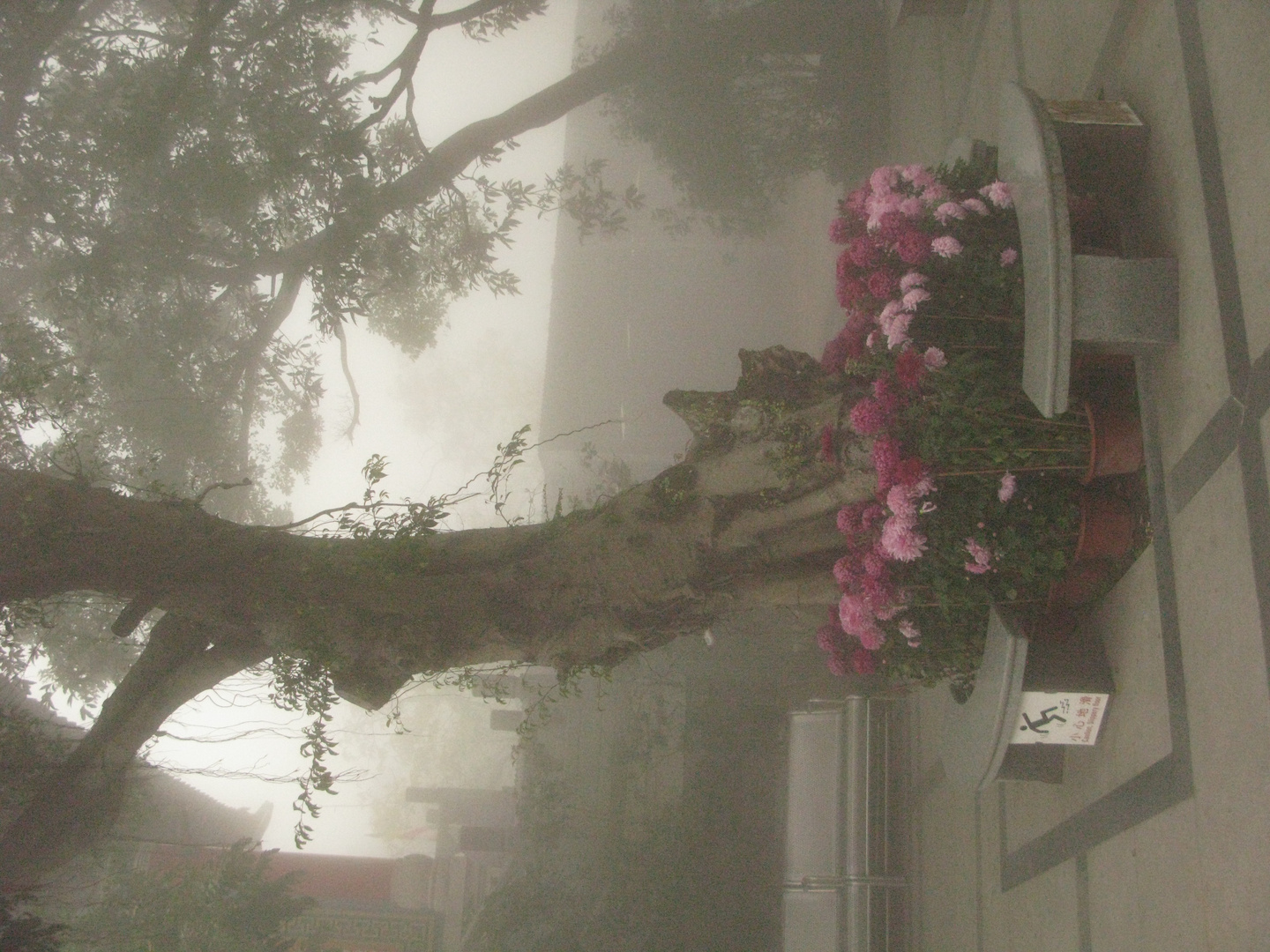 Nebel im Kloster