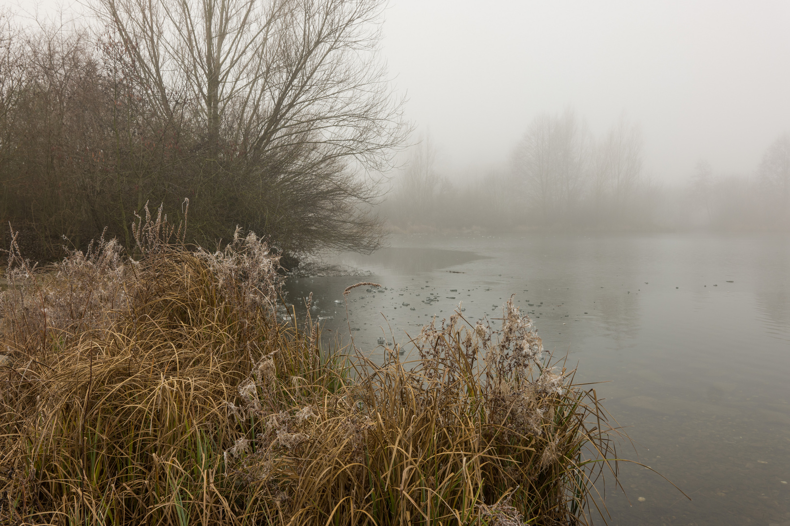 Nebel im Kurpark Bad Krozingen