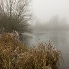 Nebel im Kurpark Bad Krozingen