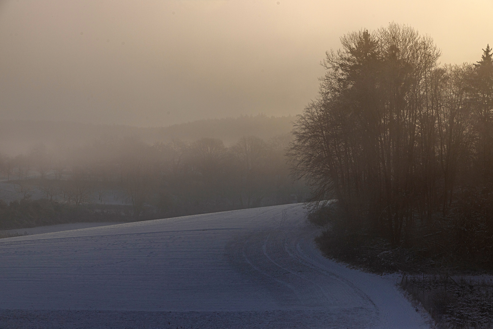 Nebel im Land