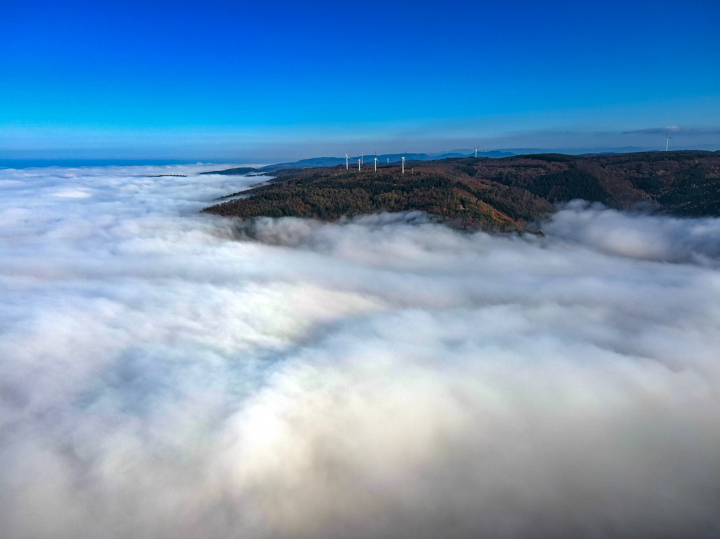 Nebel im Land Rheintal / Schwarzwald