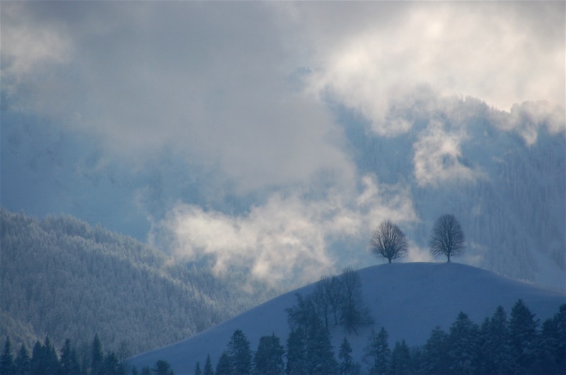 Nebel im Lichterspiel