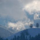 Nebel im Lichterspiel