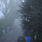 Nebel im Mai