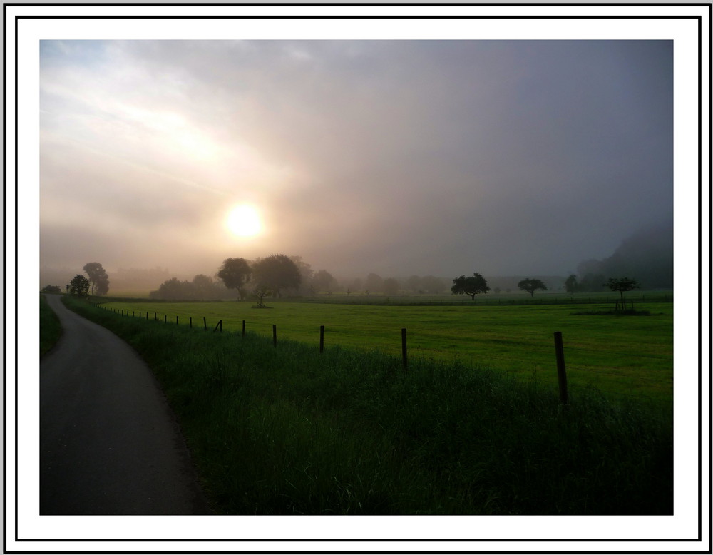 Nebel im Mai