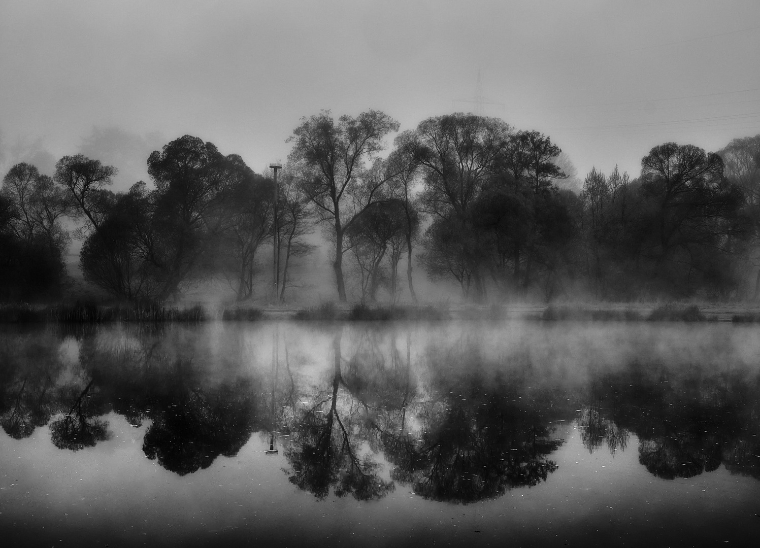 Nebel im Mai