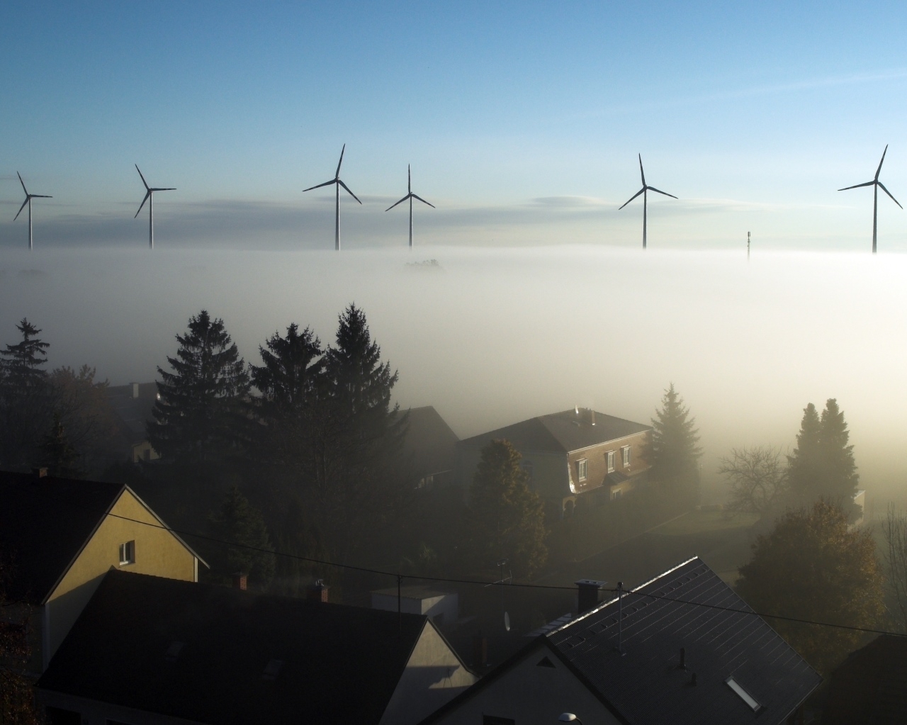 Nebel im Marchfeld