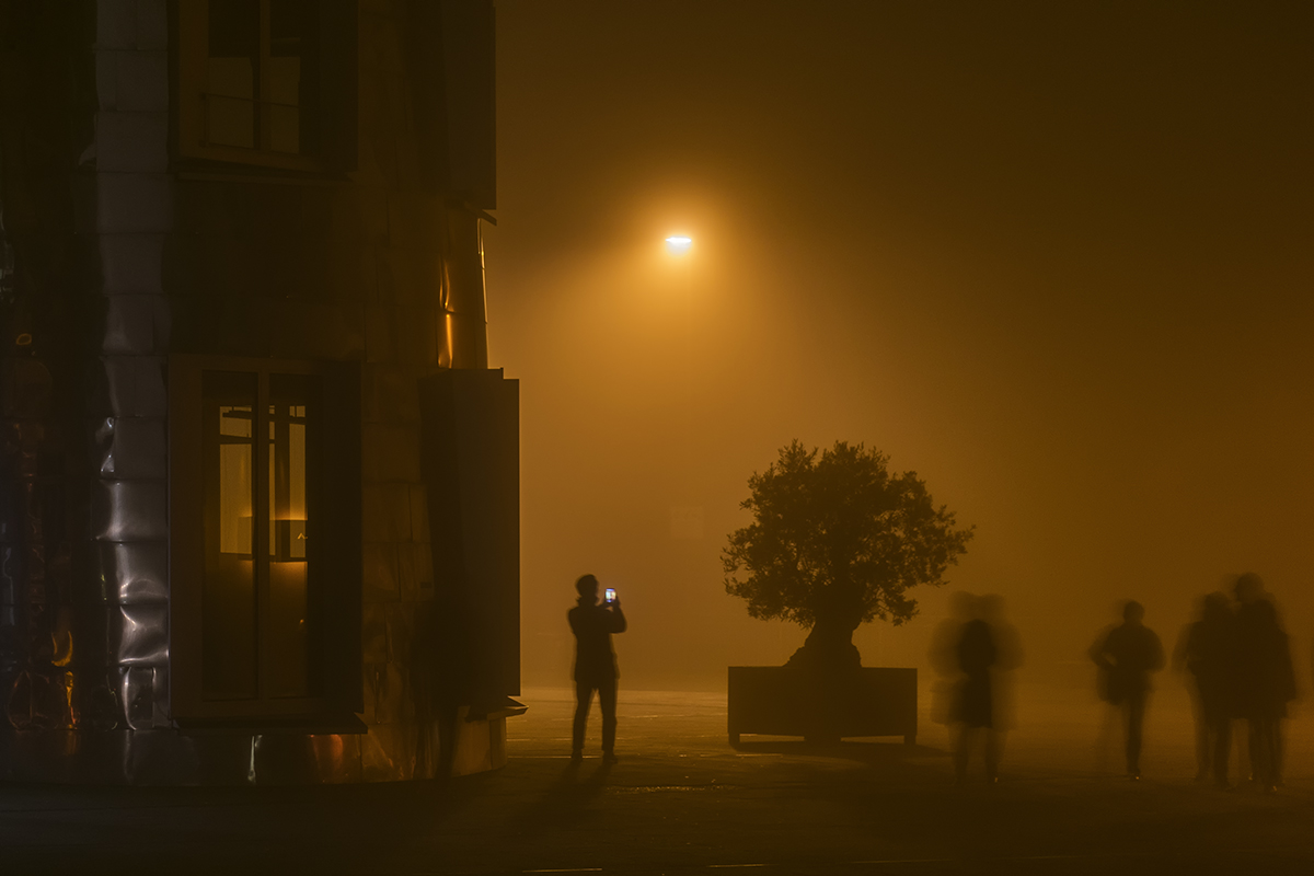 Nebel im Medienhafen