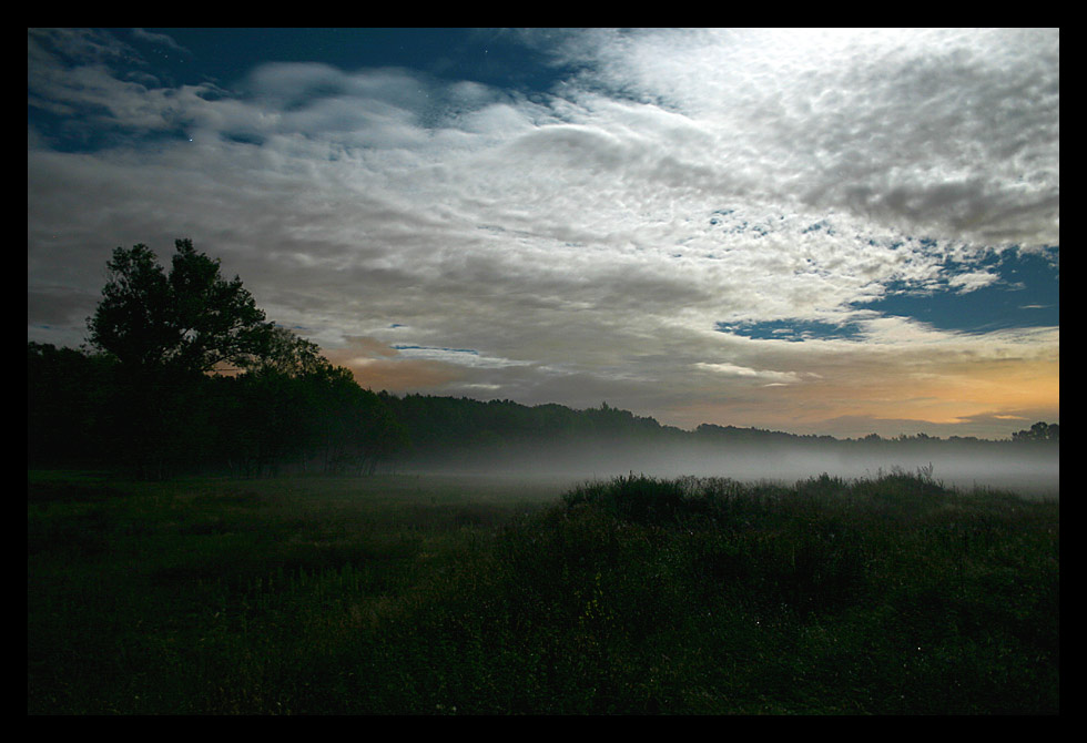 Nebel im Mondschein