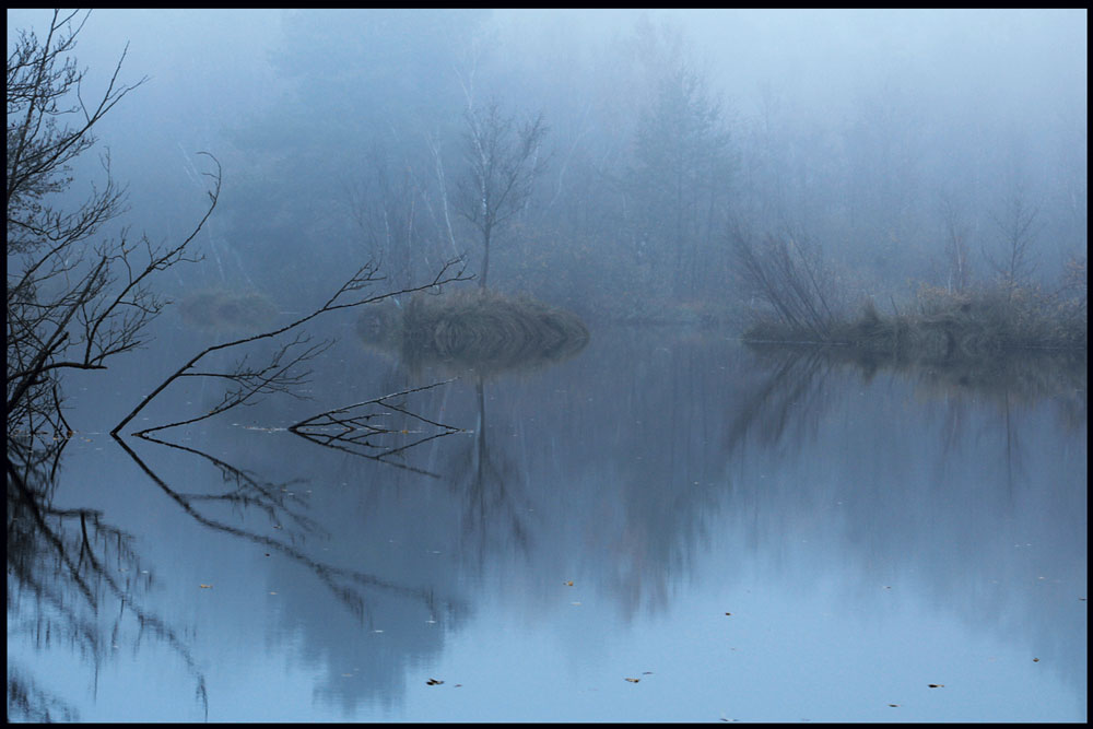 Nebel im Moor