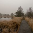 Nebel im Moor