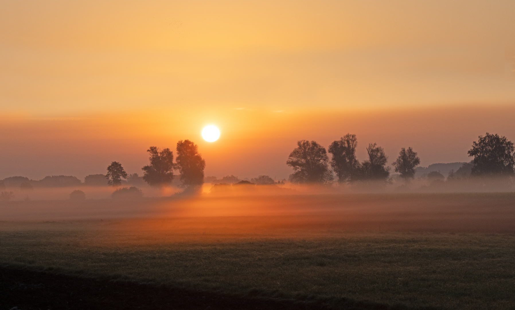 Nebel im Moor