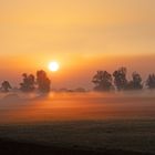 Nebel im Moor