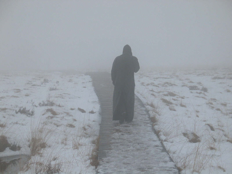 Nebel im Moor