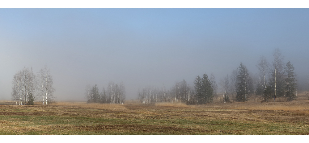 Nebel im Moor