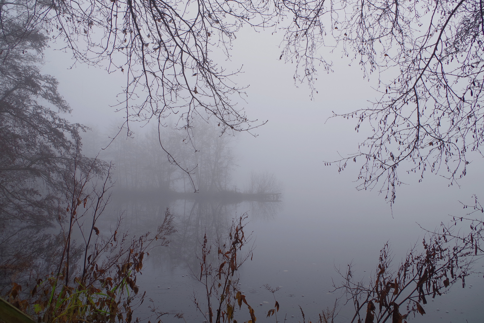 Nebel im Moor