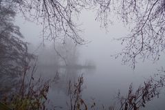 Nebel im Moor