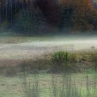 Nebel im Moosalbtal