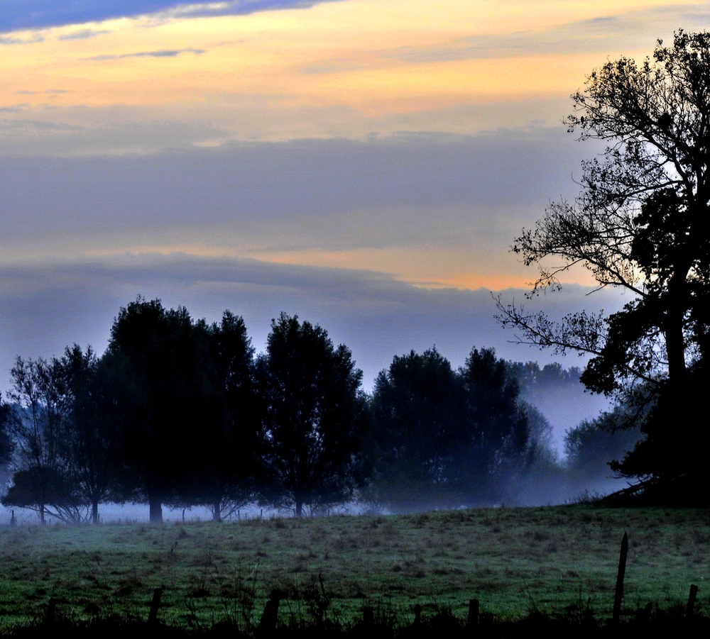 Nebel im Morgenlicht