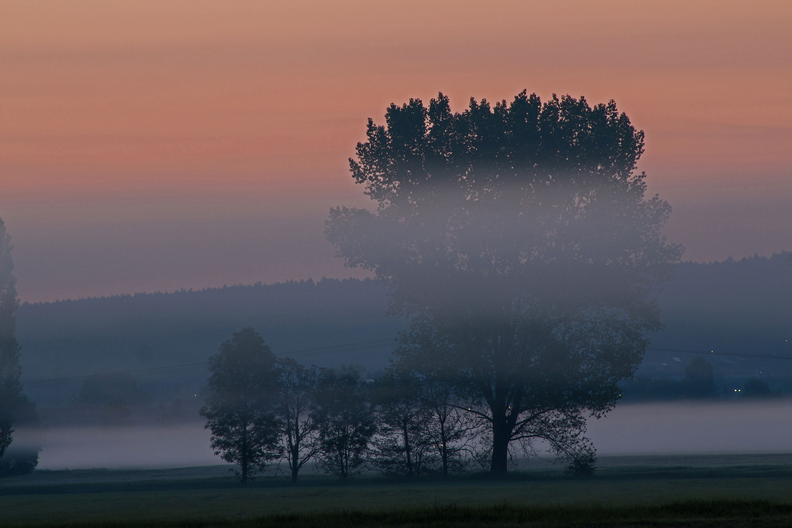 Nebel im Morgenrot