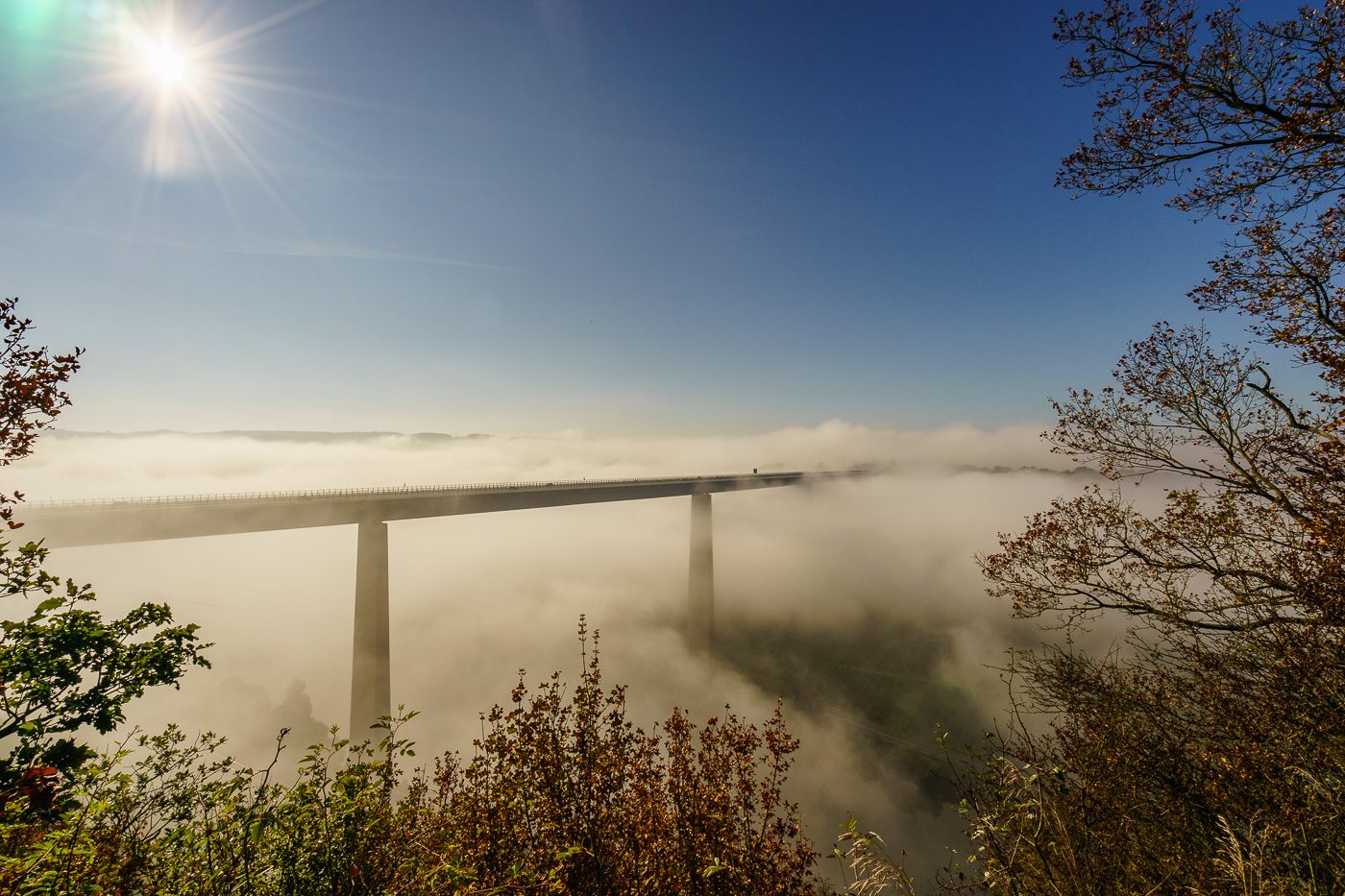 Nebel im Moseltal